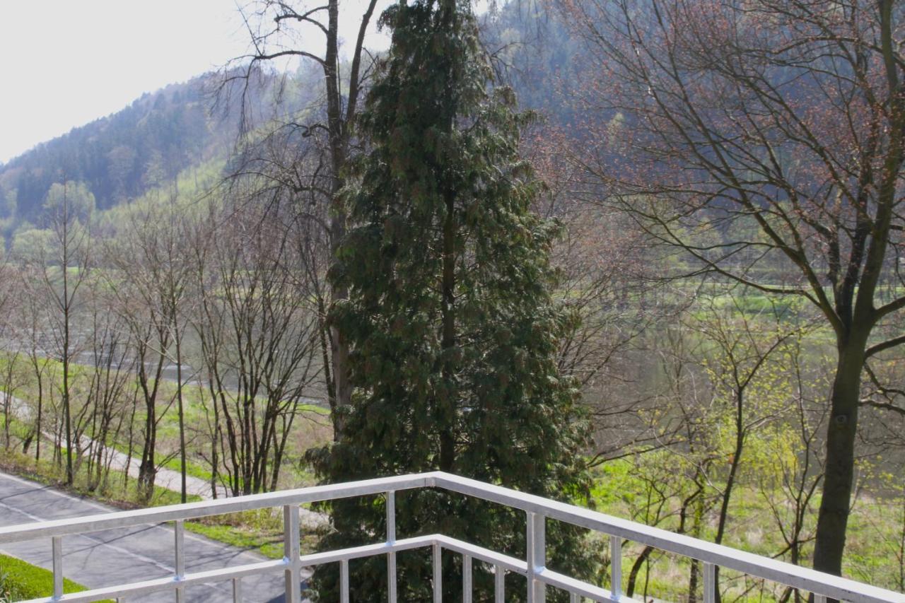 Haus Elbsinfonie Villa Bad Schandau Bagian luar foto